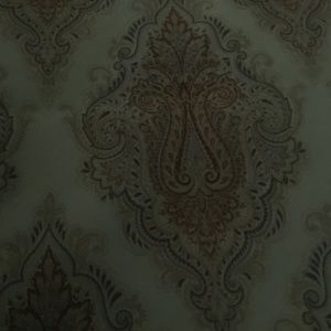 Meet your Posher, Carina