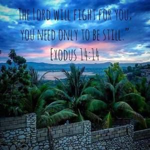 Meet your Posher, Natasha