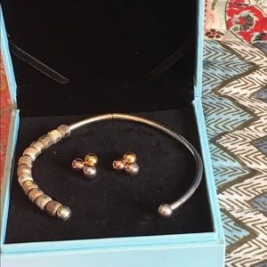 Count me healthy bracelet and earring set