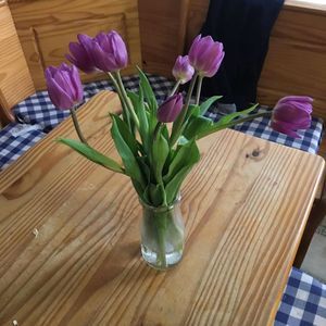 Meet your Posher, Laverta