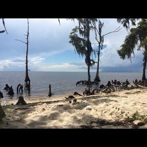 Meet your Posher, Rikkk