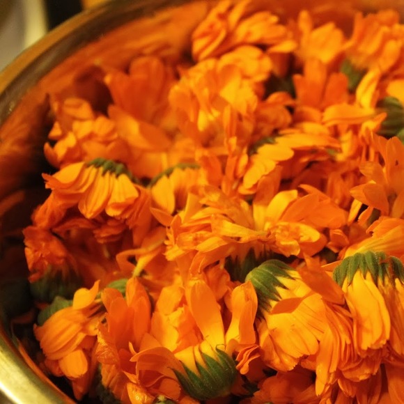 Meet your Posher, Heather finnagan - Picture 1 of 1