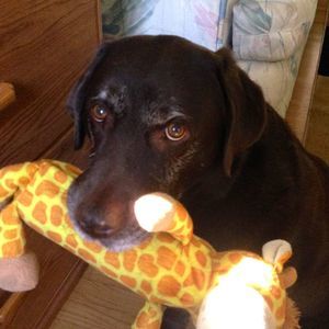 Meet your Posher, Elaine