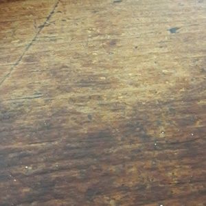 Meet your Posher, Myrna