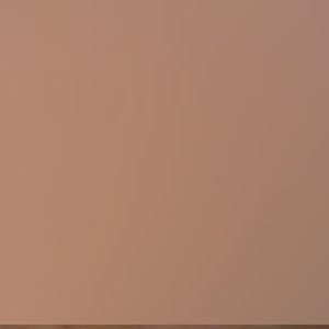 Meet your Posher, Joan rollins