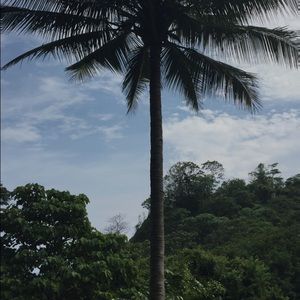 Meet your Posher, Hailey