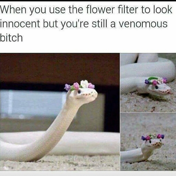 Still looking beautiful