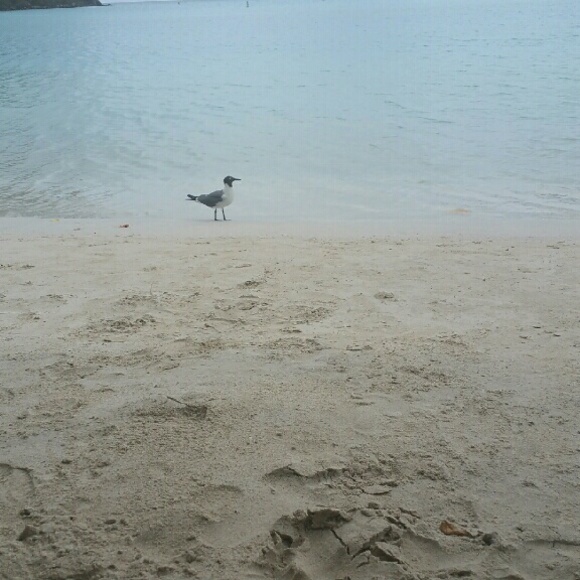 Meet your Posher, Patty