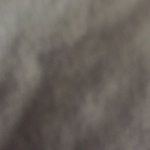 Meet your Posher, Tia