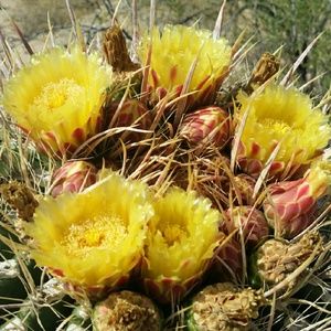 Meet your Posher, Eunok