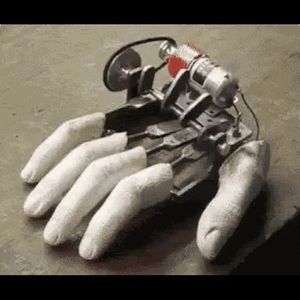 Meet your Posher, Donna marie