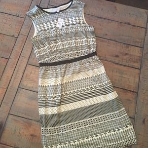 Ann Taylor Loft Dress