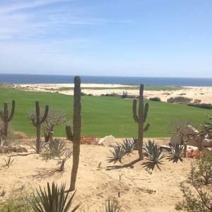 Meet your Posher, Liz