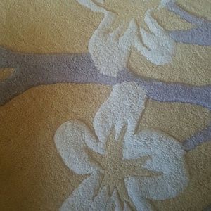 Meet your Posher, Tsenat