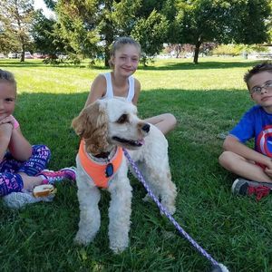 Meet your Posher, Amber