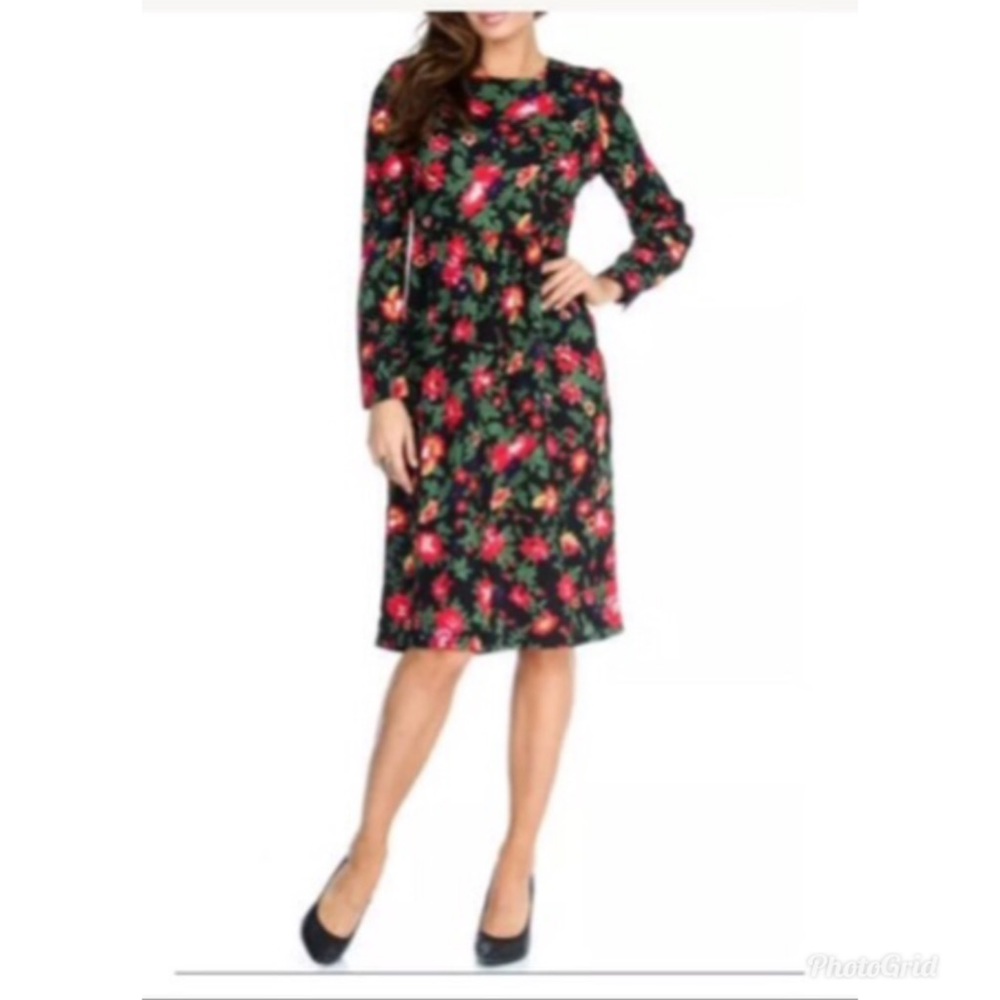 Walter Baker Milly English Rose Shift Dress NWT