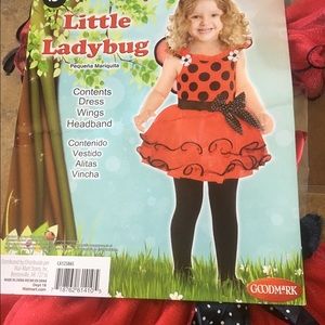 Lady bug Halloween custom