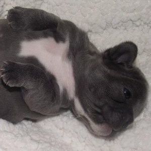 Meet your Posher, Leslie