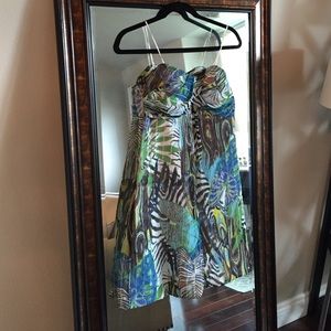 Strapless exotic Cache dress