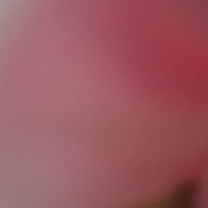 Meet your Posher, Alexandria