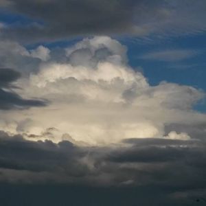 Meet your Posher, Danys kay