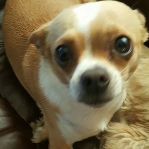 Meet your Posher, Mirella