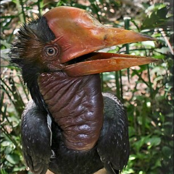 Meet your Posher, Kay