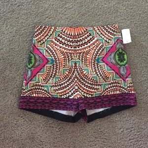 NEW WITH TAGS -- Adorable shorts!