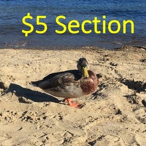 Please read below 😎