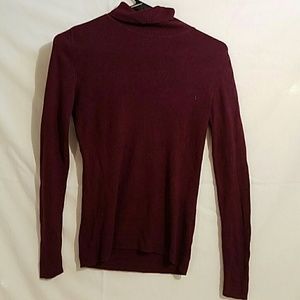 Cashmere and Silk Burgandy Turtleneck
