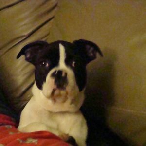 Meet your Posher, Laura