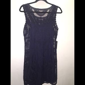 Express Navy Lace Cocktail Dress