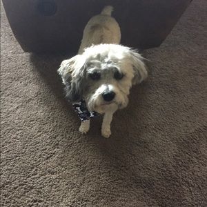 Meet your Posher, Suzanne