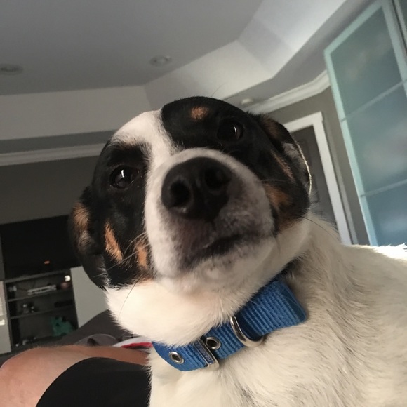 Meet your Posher, Andi! - Picture 2 of 2