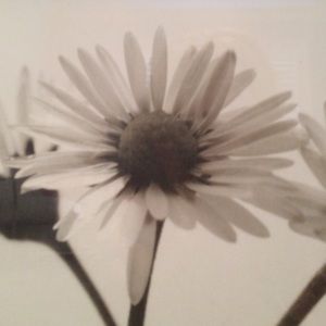 Meet your Posher, Annika