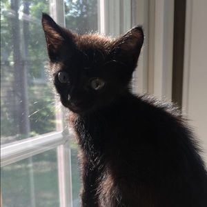 Meet your Posher, Brielle