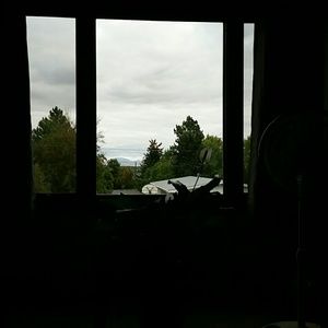 Meet your Posher, Carolyn