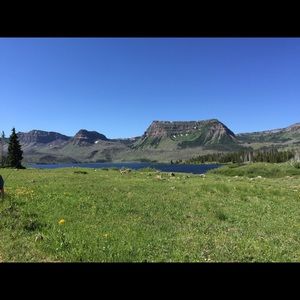 Meet your Posher, Kaytee