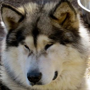 Meet your Posher, Twila