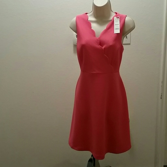 Pink, Scalloped Neckline Knit Dress