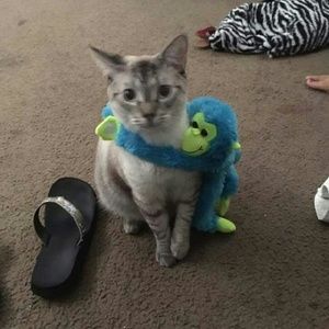 Meet your Posher, Felicia