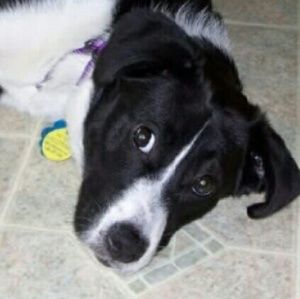 Meet your Posher, Guadalupe