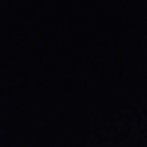 Meet your Posher, Sadie