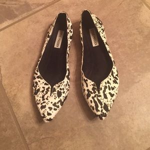 Steve Madden Pointed Flats