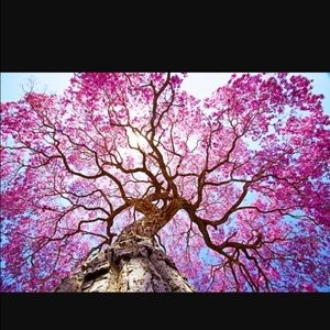 Meet your Posher, Weiwei