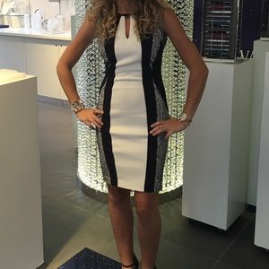 Cache daytime or evening knee length dress