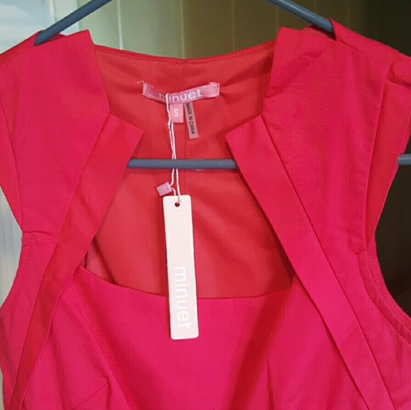 Minuet Dresses & Skirts - !!**Price drop**!! Minuet Party dress