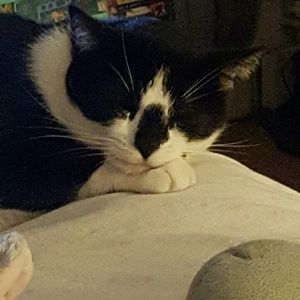 Meet your Posher, Mary