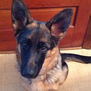 Meet your Posher, Theresa