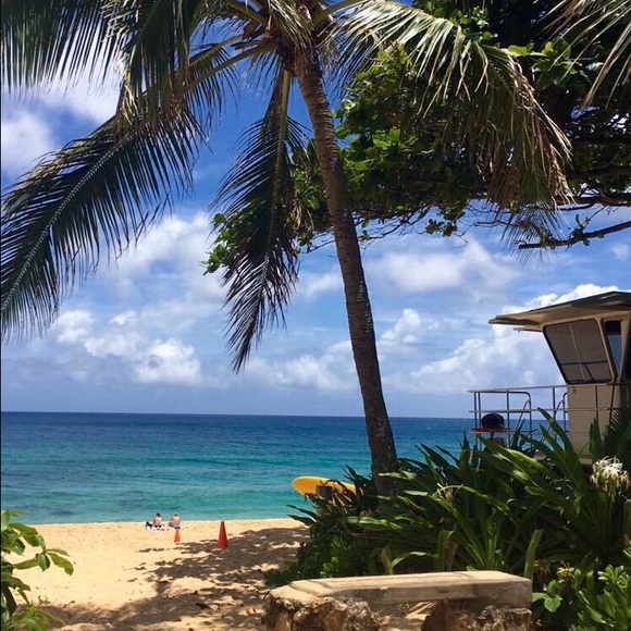 Meet your Posher, Danielle - Picture 1 of 1